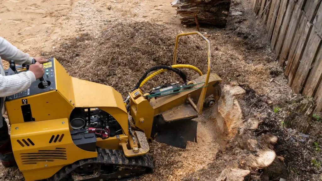 Axel tree services Yonkers NY-37-stump grinding 6